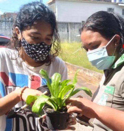 Aluna aprende a cultivar hortaliça durante o curso de Horticultura em parceria Sejel/Senar